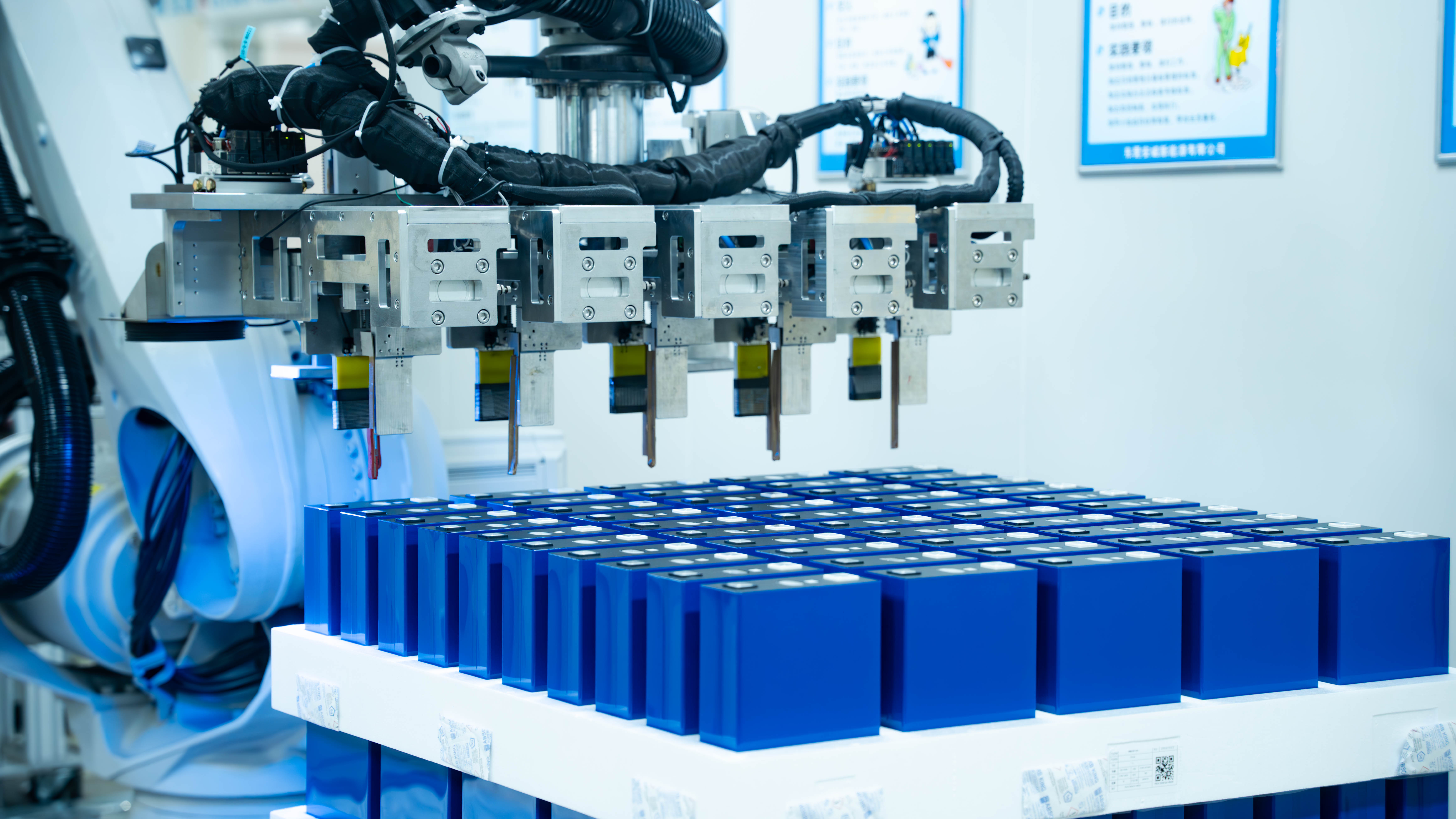 Cell Loading and Inspection