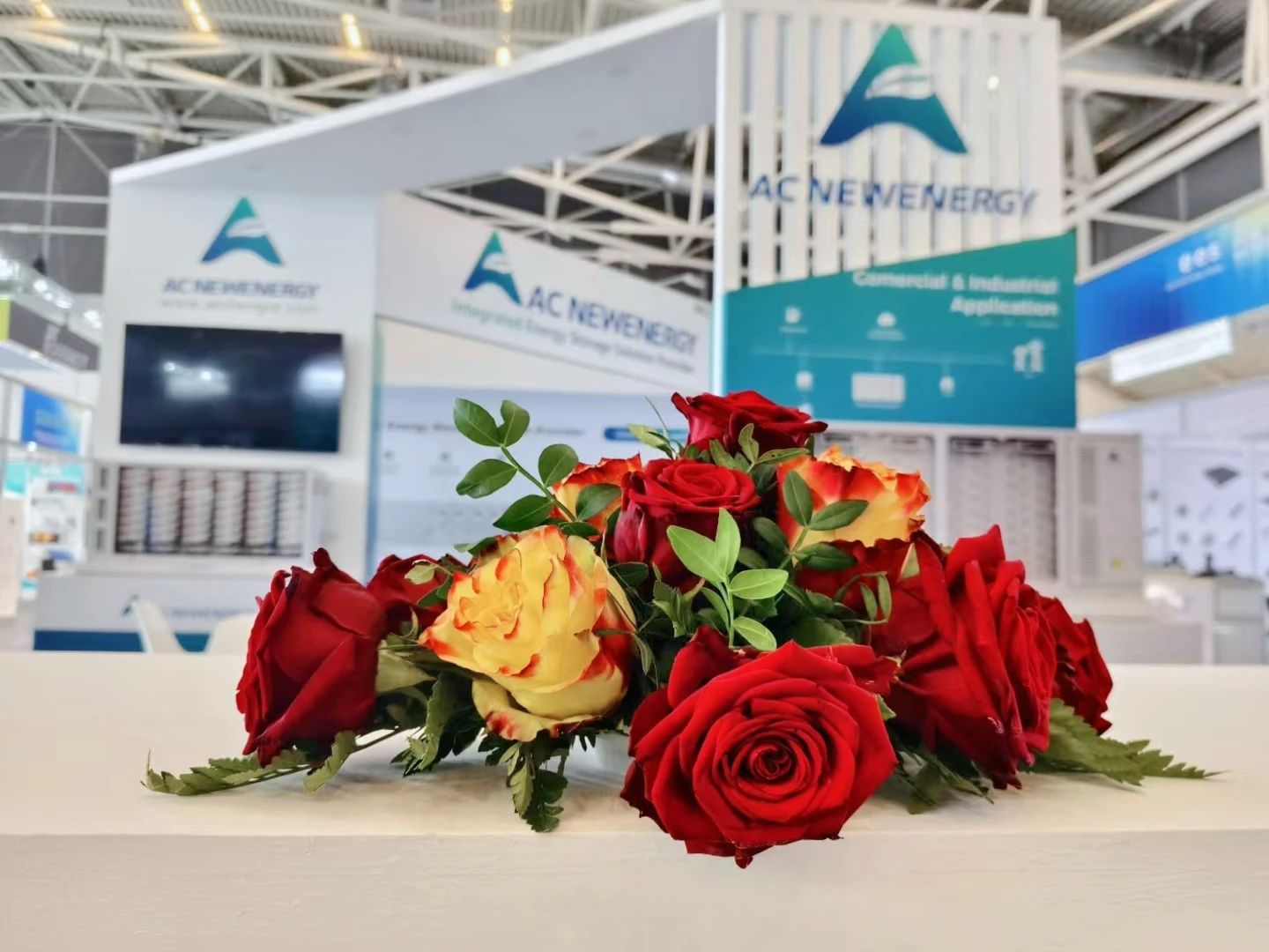 展会直击 | EES Europe Booth C3-570 Welcome